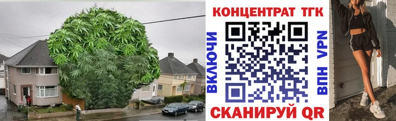 продажа наркотиков  Сокол  МЕГА как зайти  Дистиллят ТГК концентрат 