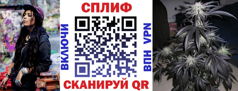 darknet наркотические препараты  Сокол  МАРИХУАНА семена 